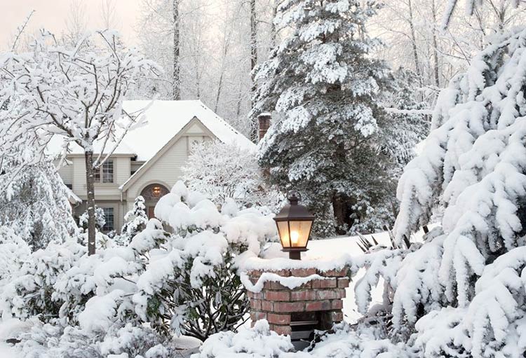 Garten winterfest machen: Garten im Schnee